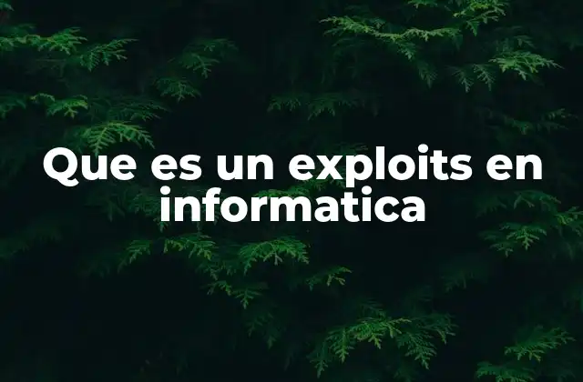 Que es un Exploits en Informatica