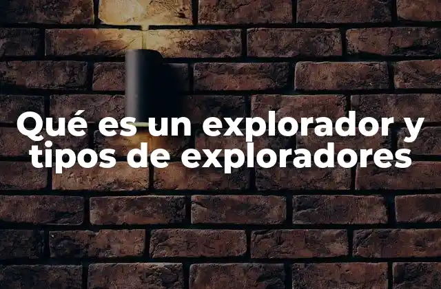 Qué es un Explorador y Tipos de Exploradores