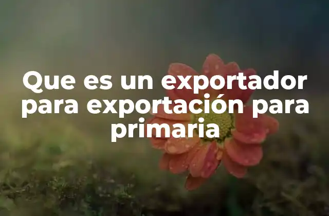 Que es un Exportador para Exportación para Primaria
