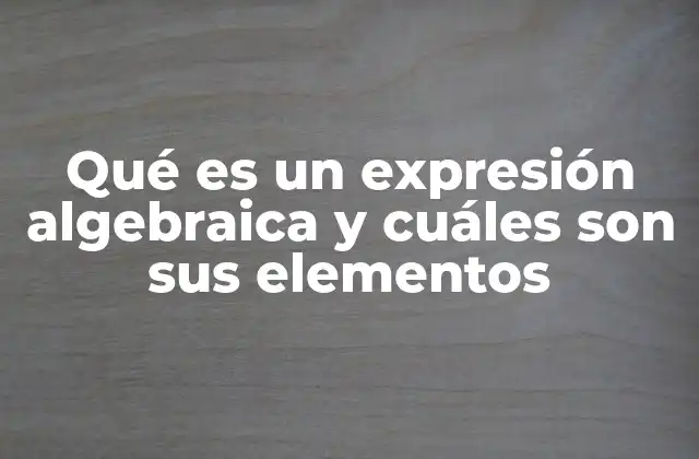 Qué es un Expresión Algebraica y Cuáles Son Sus Elementos