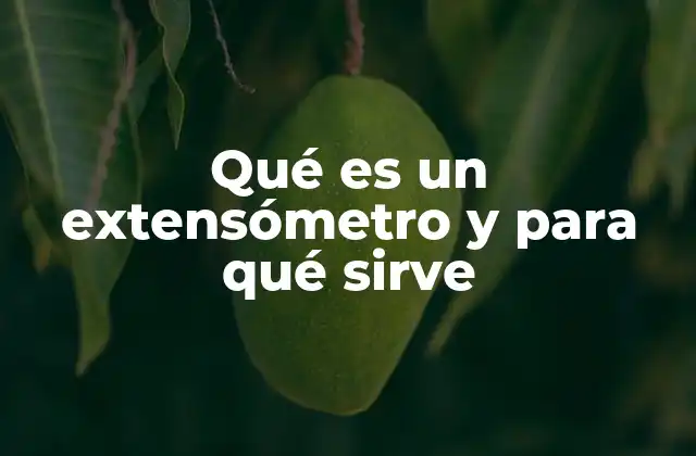 Cómo funciona un extensómetro en pruebas de laboratorio
