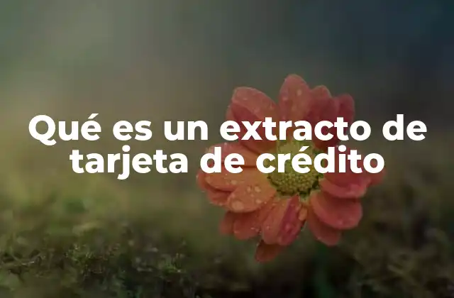 Qué es un Extracto de Tarjeta de Crédito 2 Cómo se genera el informe de movimientos de una tarjeta