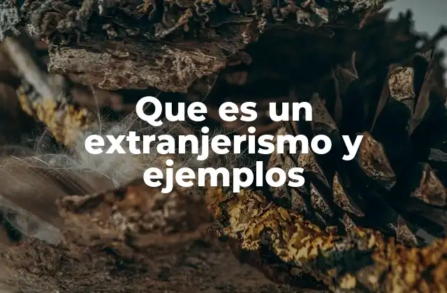 Que es un Extranjerismo y Ejemplos