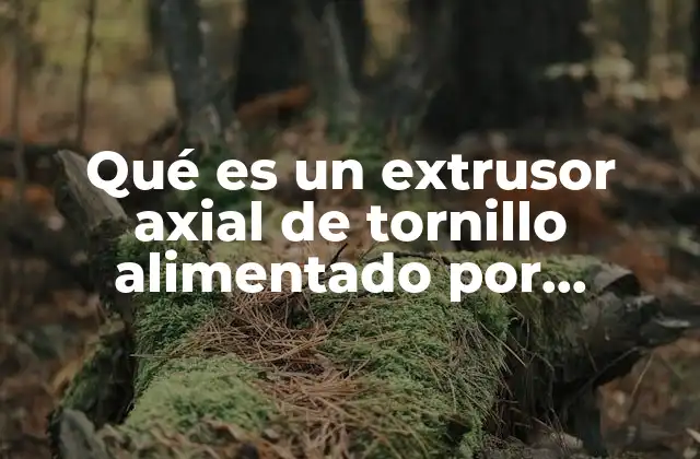 Qué es un Extrusor Axial de Tornillo Alimentado por Gravedad
