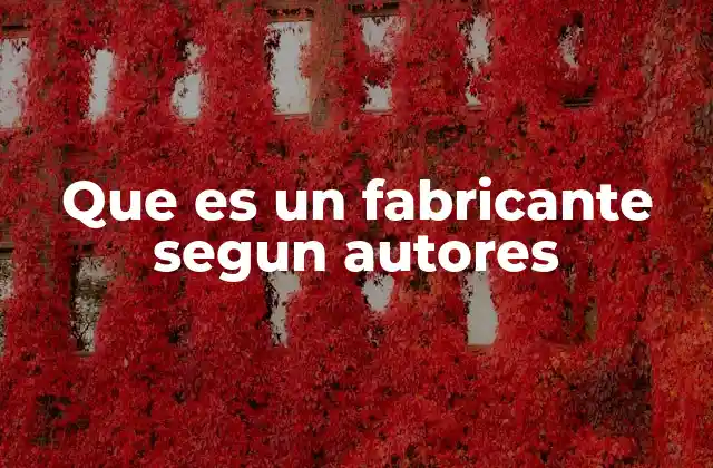 Que es un Fabricante Segun Autores