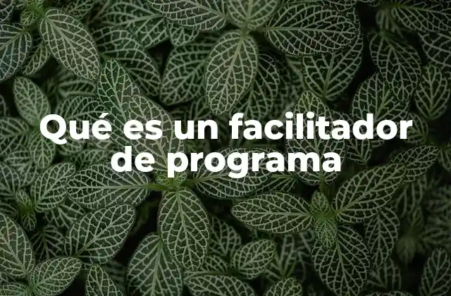 Qué es un Facilitador de Programa