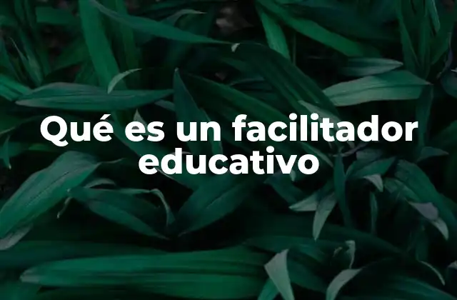 Qué es un Facilitador Educativo