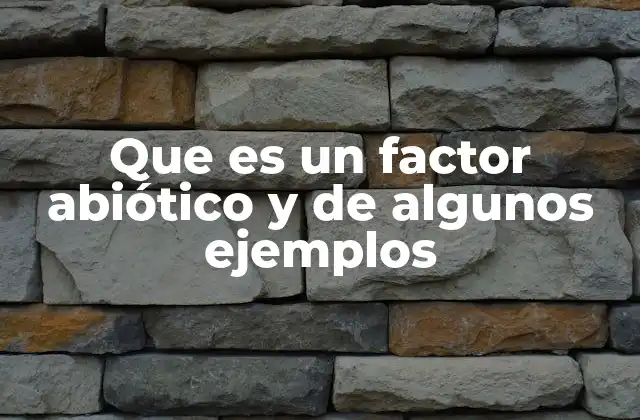 Que es un Factor Abiótico y de Algunos Ejemplos