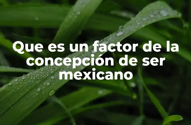 Que es un Factor de la Concepción de Ser Mexicano