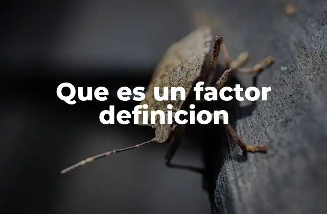Que es un Factor Definicion
