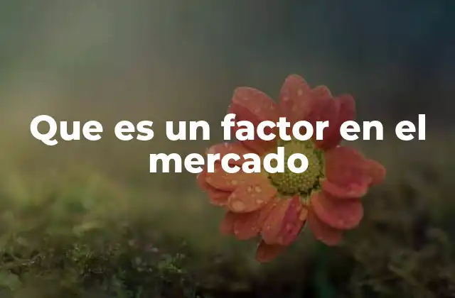 Que es un Factor en el Mercado