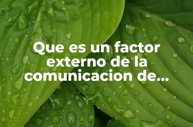 Que es un Factor Externo de la Comunicacion de Enfermeria