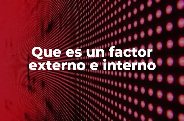 Que es un Factor Externo e Interno