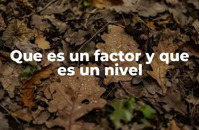 Que es un Factor y que es un Nivel