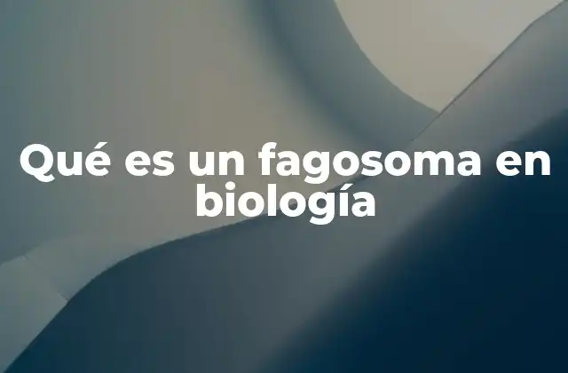 Qué es un Fagosoma en Biología