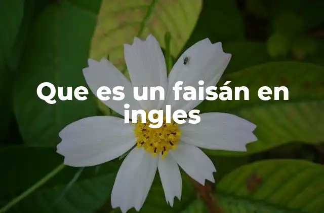 Que es un Faisán en Ingles