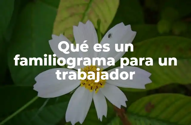 Qué es un Familiograma para un Trabajador