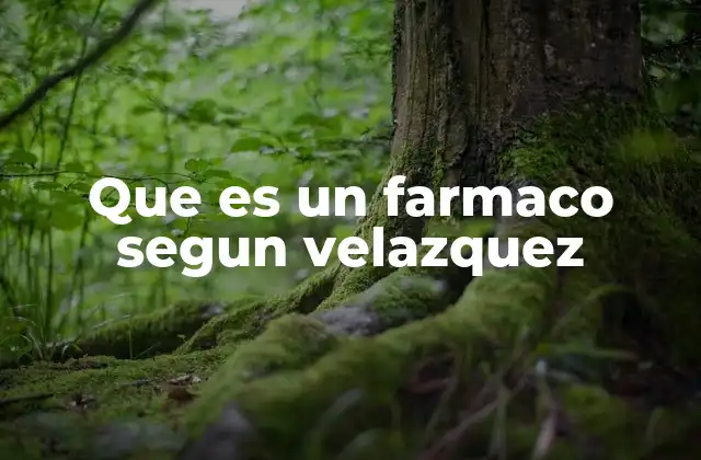 Que es un Farmaco Segun Velazquez