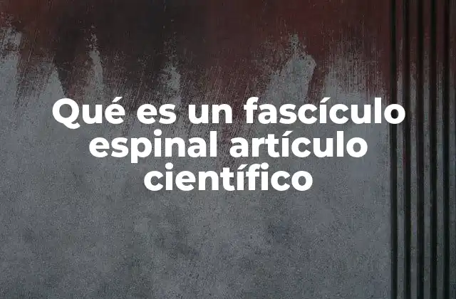 La importancia de los fascículos espinales en la neuroanatomía