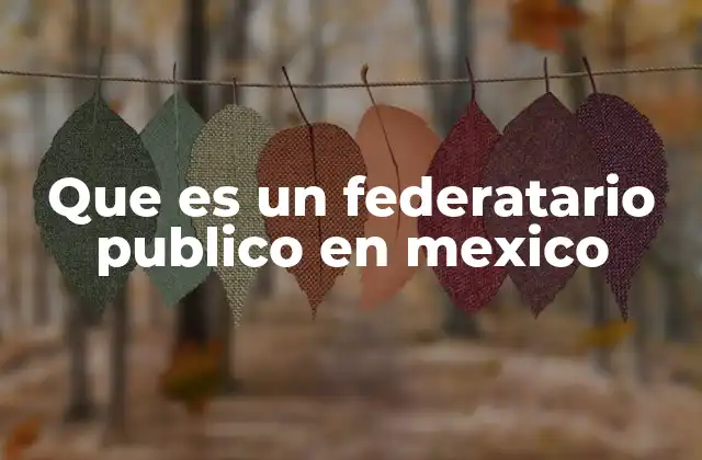 Que es un Federatario Publico en Mexico
