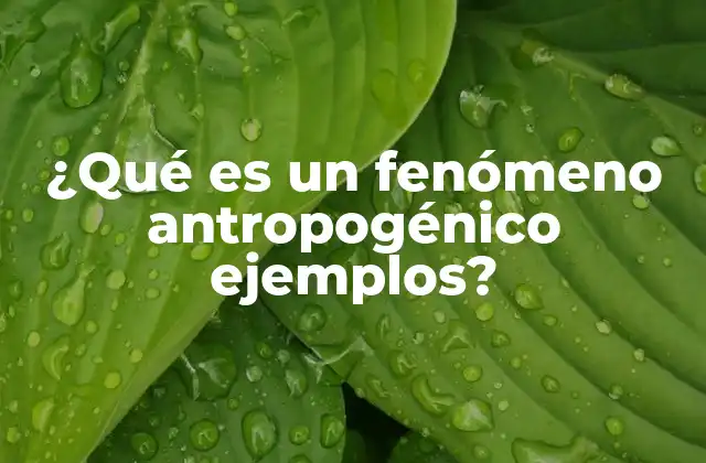 ¿qué es un Fenómeno Antropogénico Ejemplos?