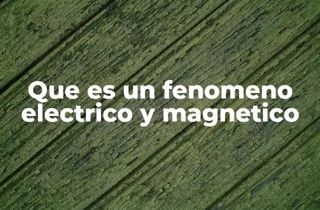 Que es un Fenomeno Electrico y Magnetico