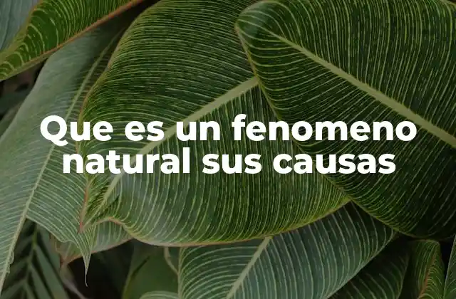 Que es un Fenomeno Natural Sus Causas