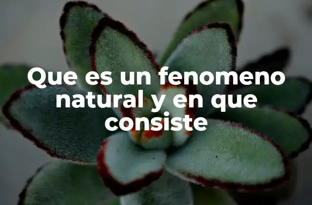 Que es un Fenomeno Natural y en que Consiste