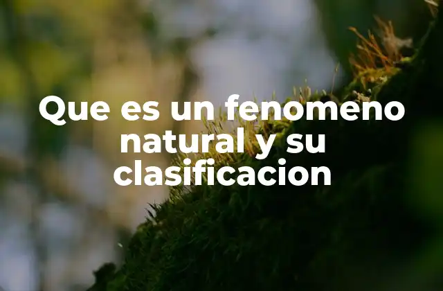 Cómo la naturaleza se manifiesta a través de diversos eventos