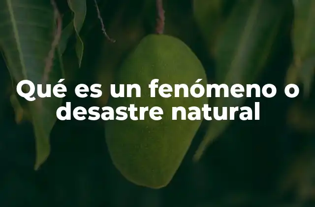 Qué es un Fenómeno o Desastre Natural