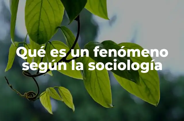 Qué es un Fenómeno según la Sociología