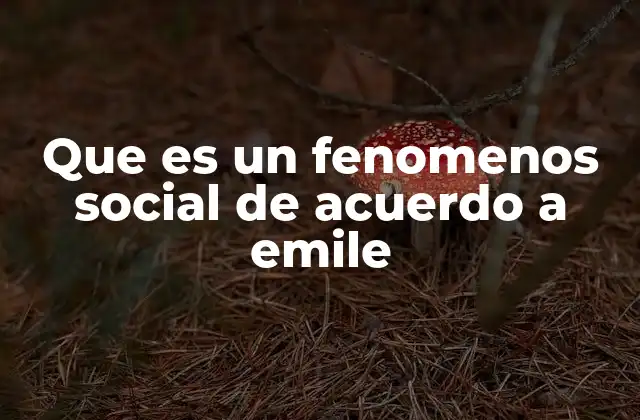 Que es un Fenomenos Social de Acuerdo a Emile