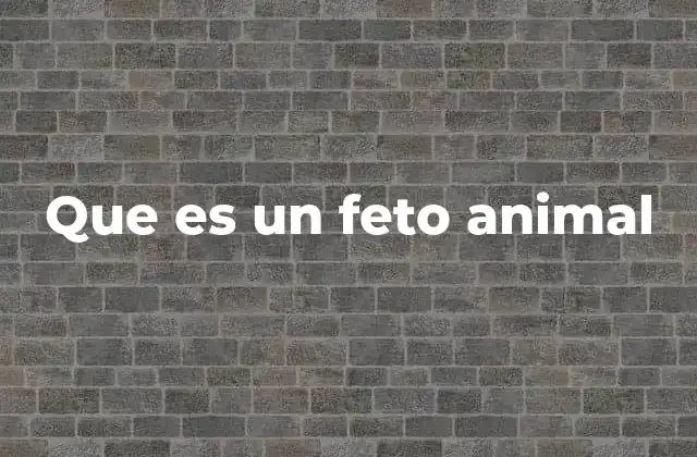 Que es un Feto Animal