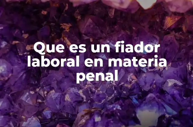 Que es un Fiador Laboral en Materia Penal