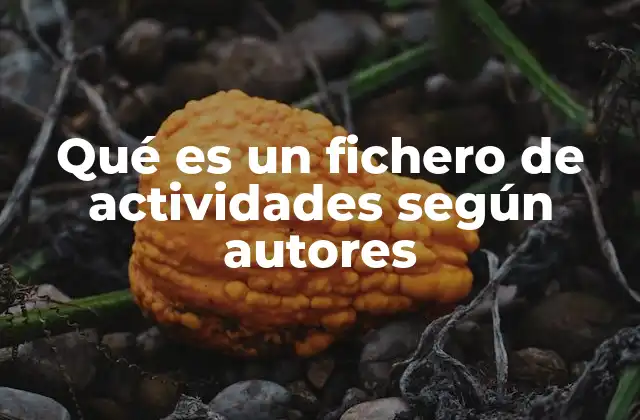 Qué es un Fichero de Actividades según Autores