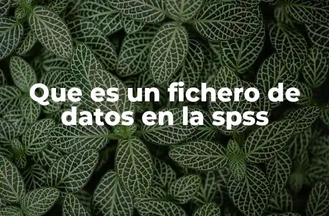 Que es un Fichero de Datos en la Spss