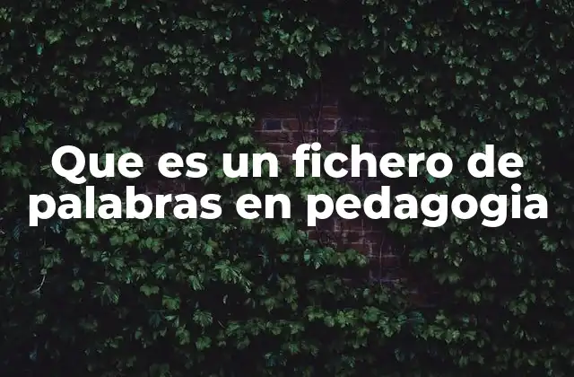 Que es un Fichero de Palabras en Pedagogia
