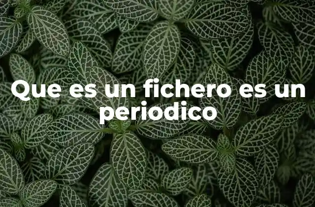 Que es un Fichero es un Periodico