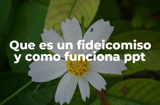 Que es un Fideicomiso y como Funciona Ppt