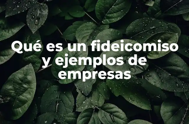 Qué es un Fideicomiso y Ejemplos de Empresas