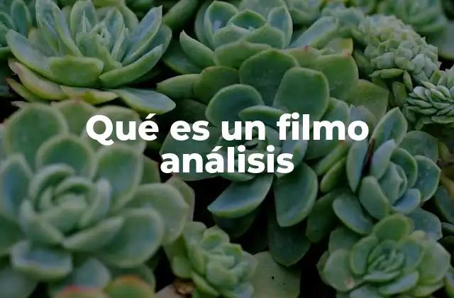 Qué es un Filmo Análisis