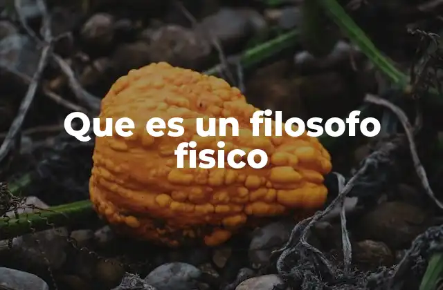 Que es un Filosofo Fisico 2 El puente entre ciencia y reflexión