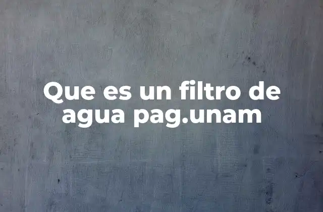 Que es un Filtro de Agua Pag.unam