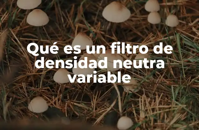 Qué es un Filtro de Densidad Neutra Variable 2 Cómo funciona un filtro de densidad neutra variable