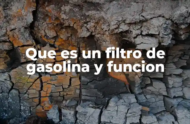 Que es un Filtro de Gasolina y Funcion