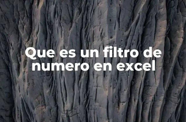 Que es un Filtro de Numero en Excel