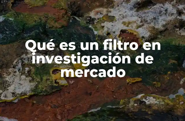 Qué es un Filtro en Investigación de Mercado