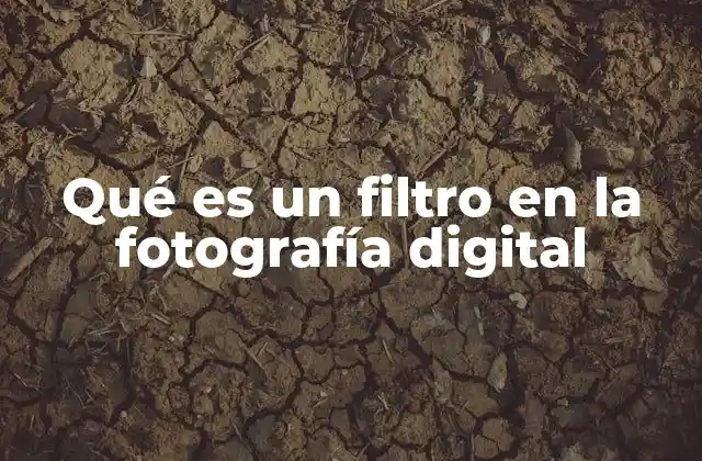 Qué es un Filtro en la Fotografía Digital