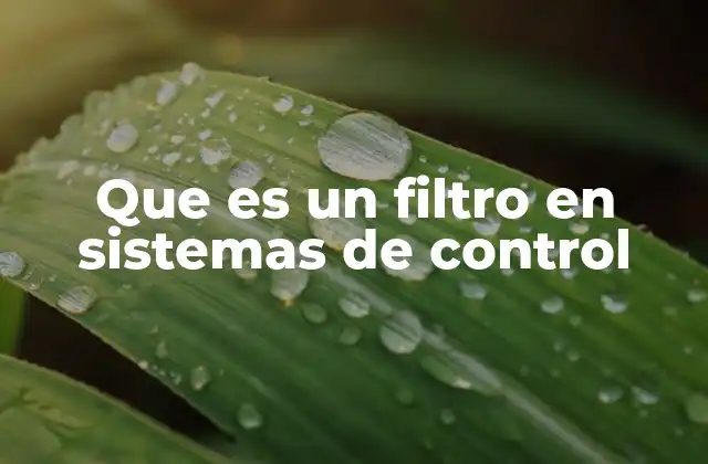 Que es un Filtro en Sistemas de Control