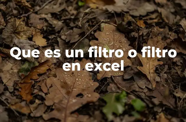 Que es un Filtro o Filtro en Excel